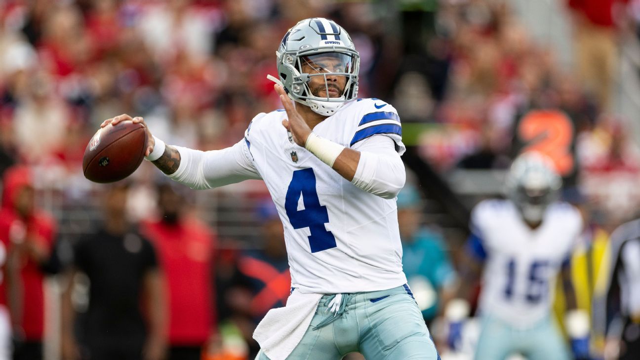 职业生涯的 职业生涯的