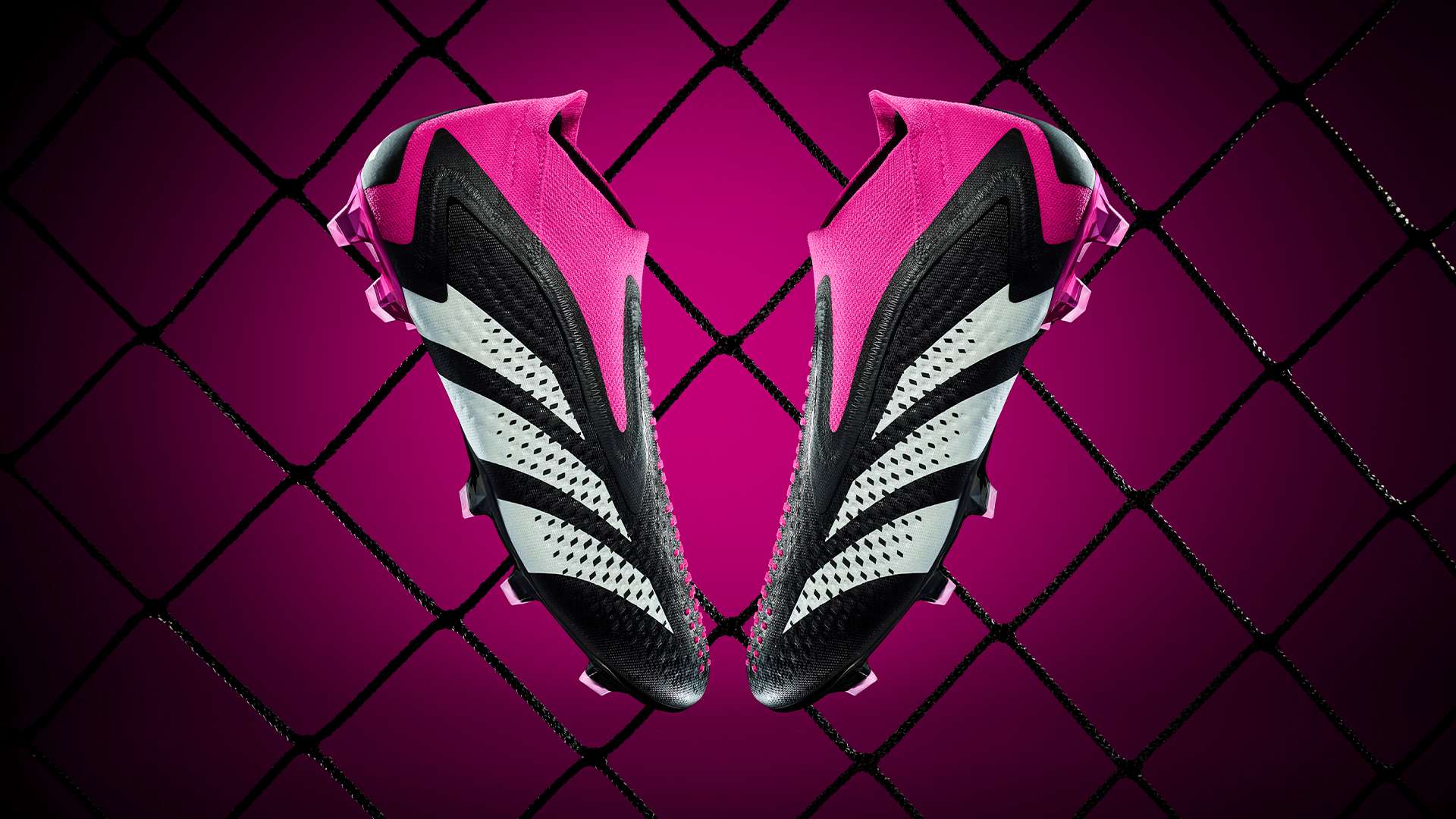 这不仅有助 这不仅有助